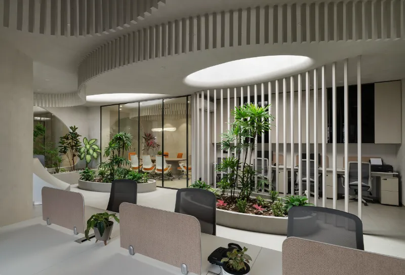Rizwani Office
