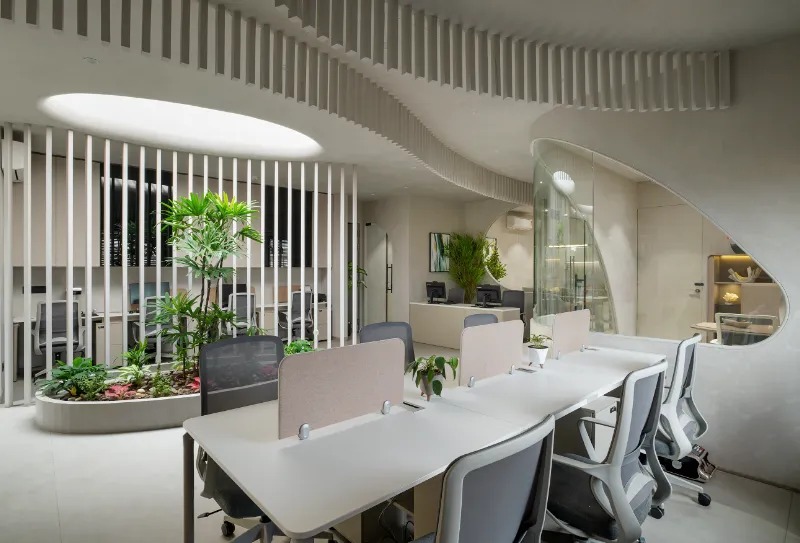 Rizwani Office