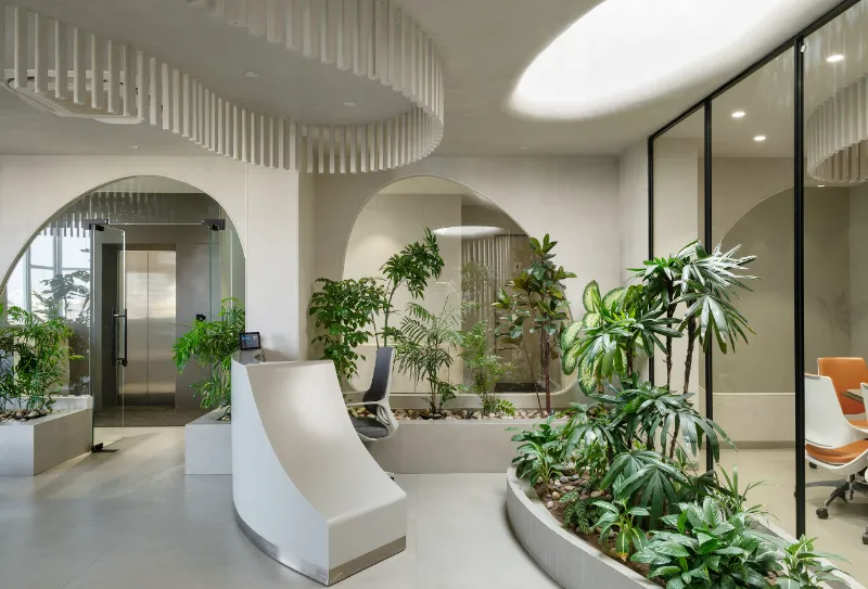 Rizwani Office